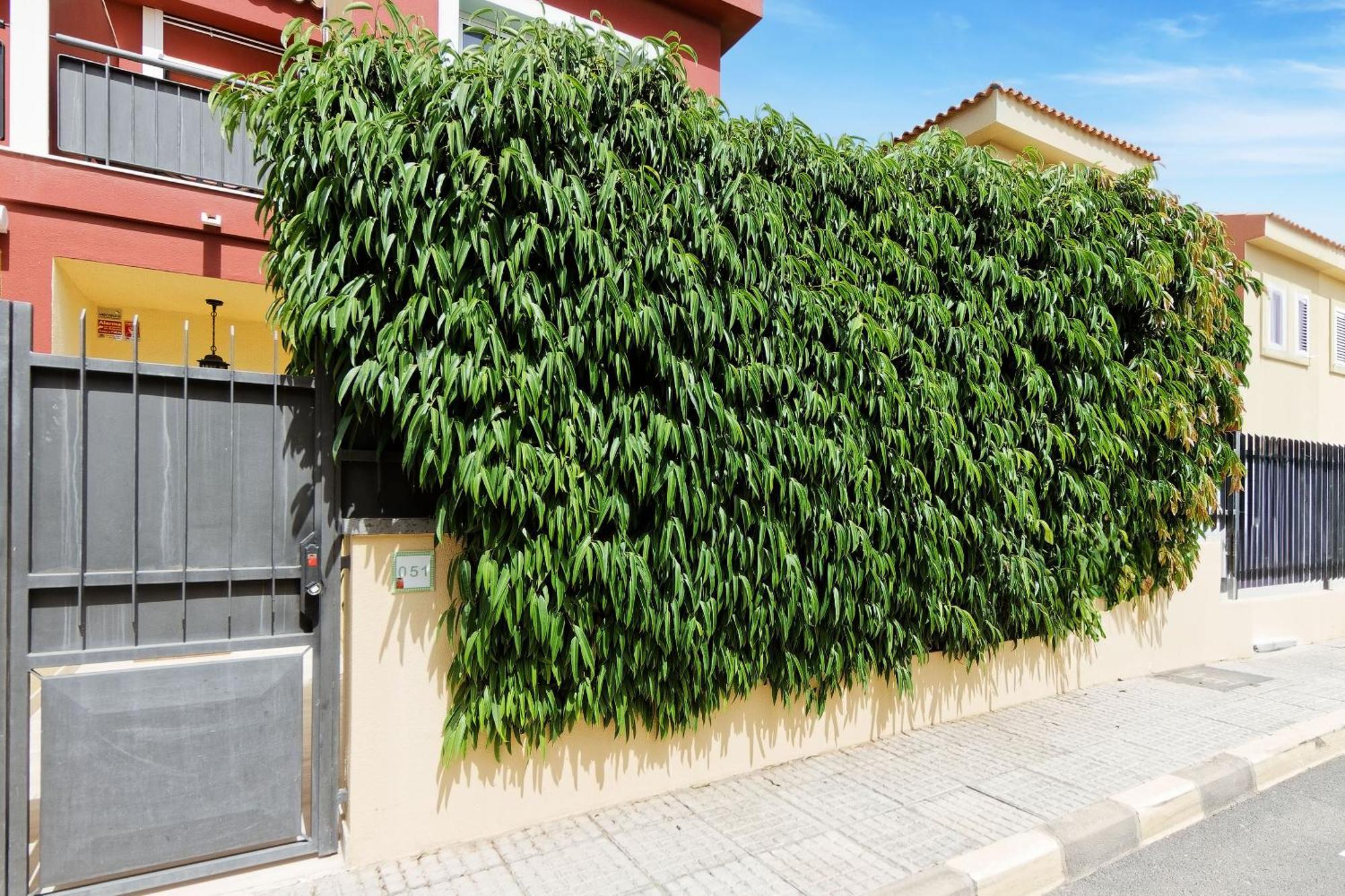 Villa Anil Meloneras San Bartolomé Dış mekan fotoğraf